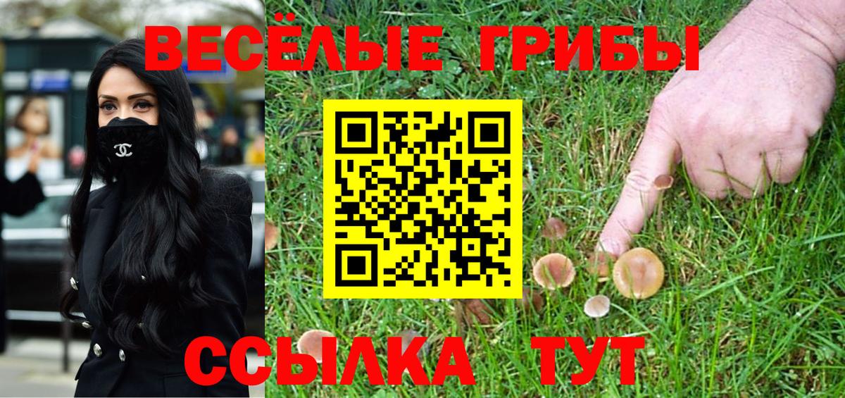 Галлюциногенные грибы ЛСД  Галлюциногенные грибы прущие грибы  Вход с VPN  Алапаевск 
